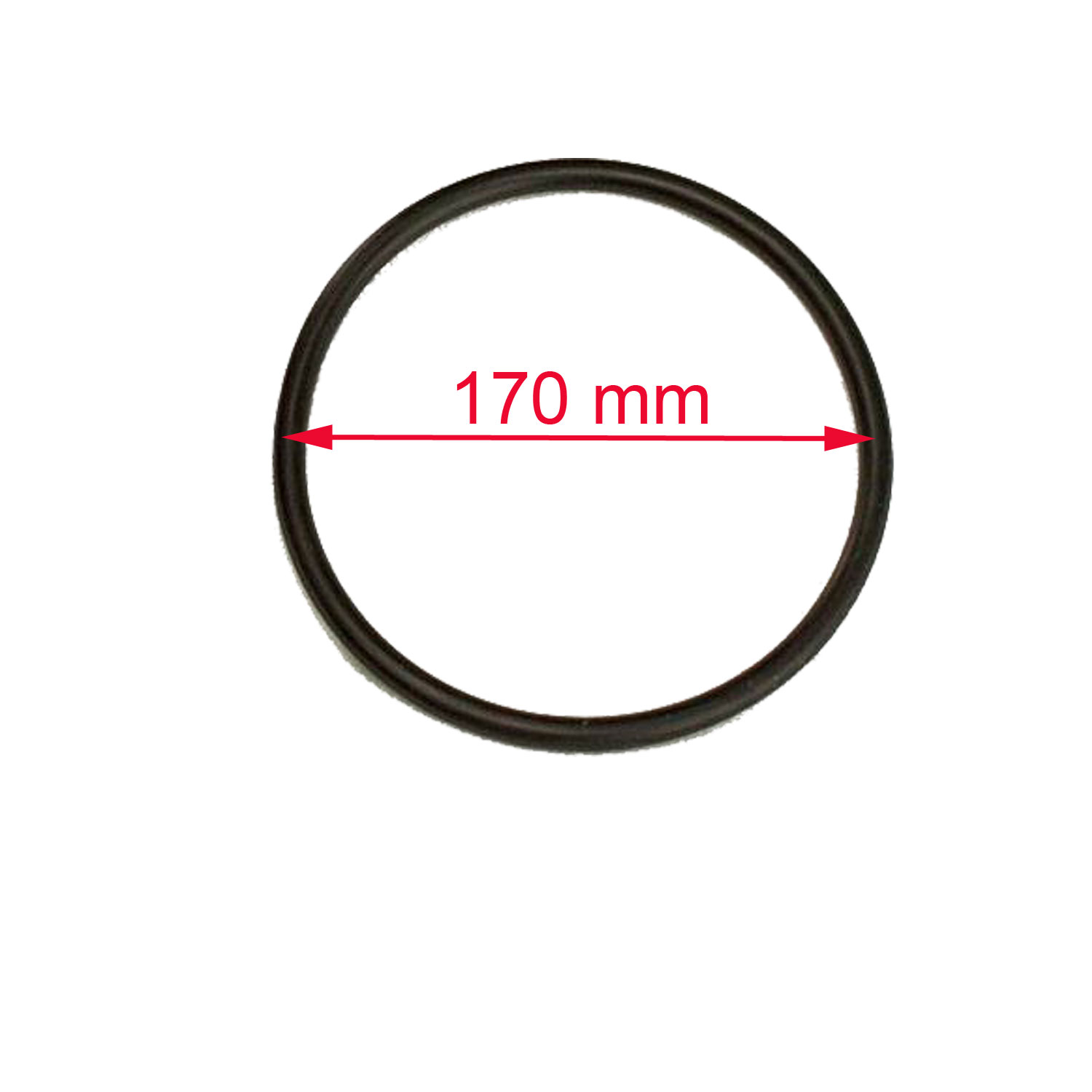 O - Ring für  verschiedene Astral Filterkessel  170 x 5,75 mm