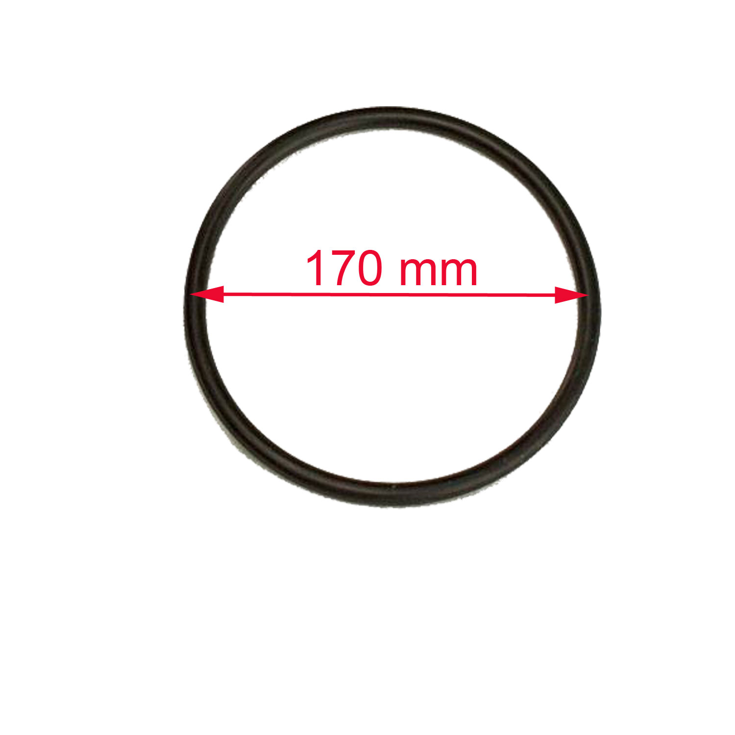 o-ring-astral-filter