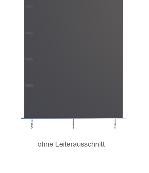 ohne Leiterausschnitt