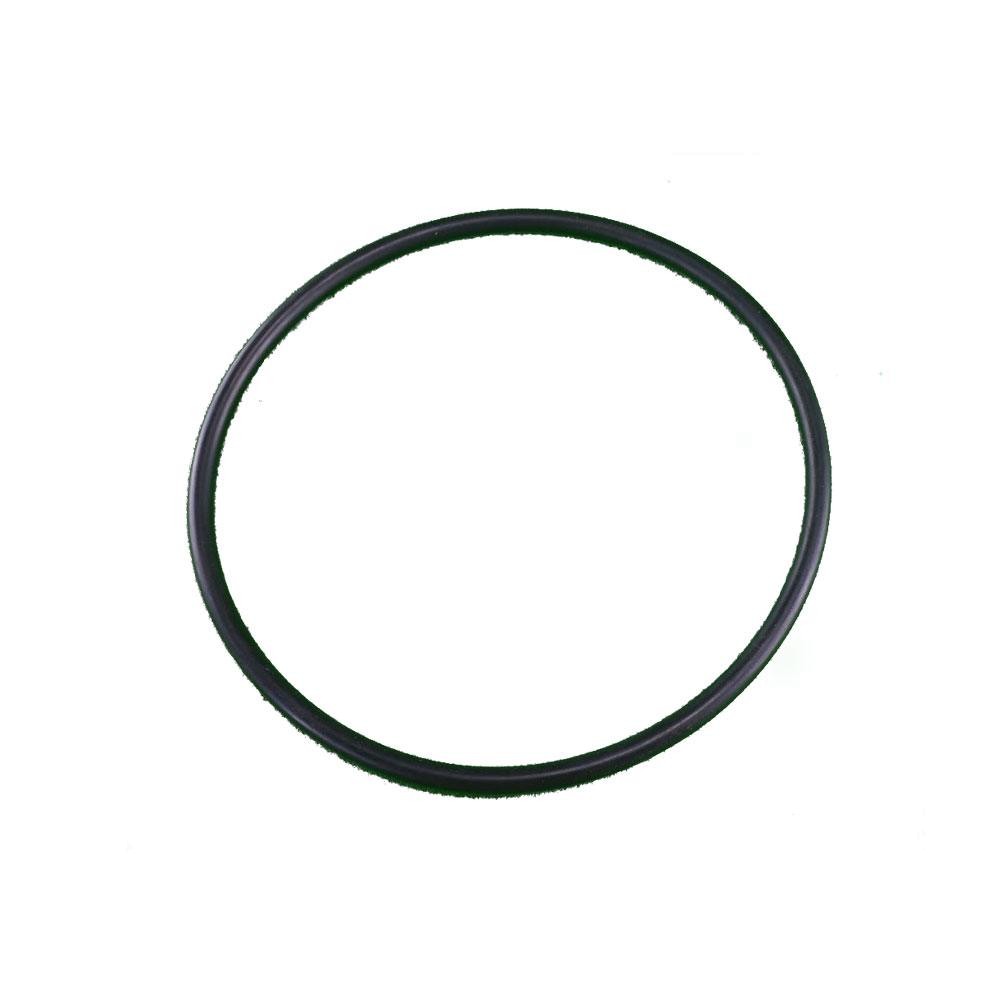 O Ring für Vorfilterdeckel Pumpe Sena 118 x 4