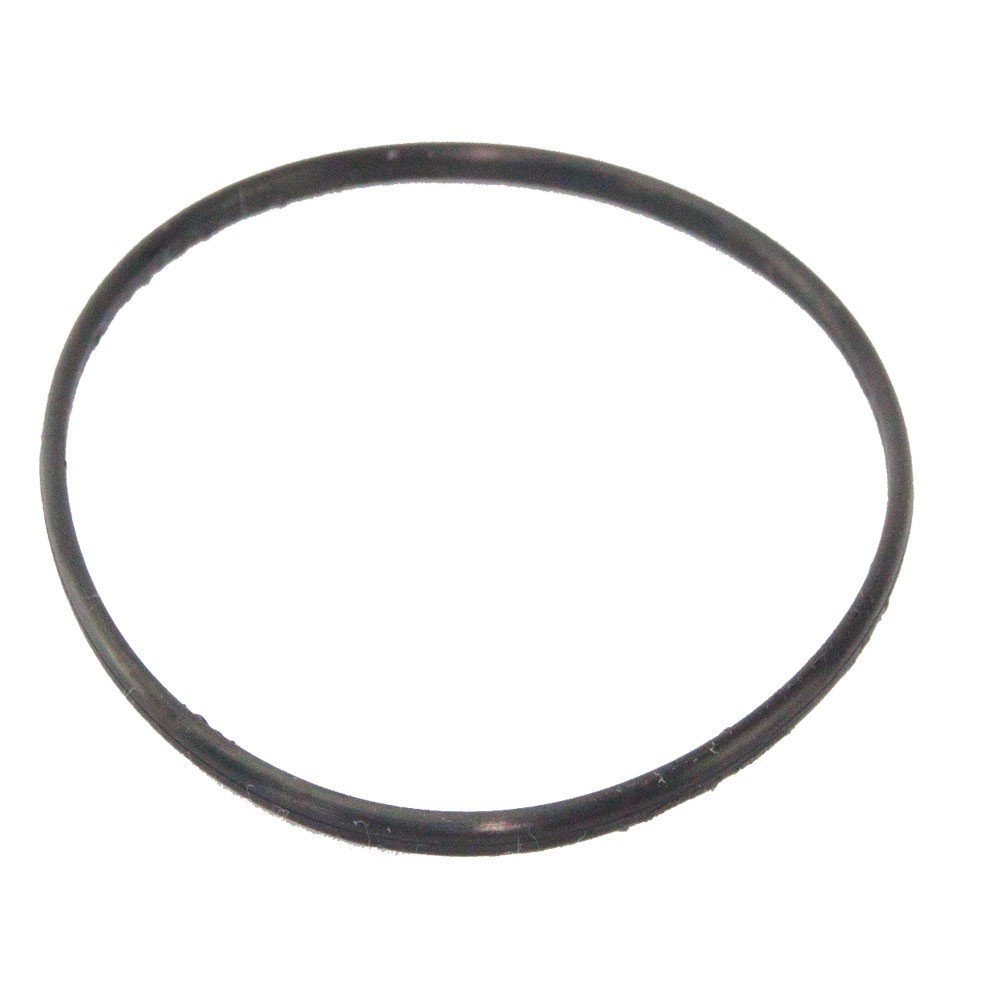 o-ring-filterkessel O Ring  145 x 8 mm für Sandfilterkessel