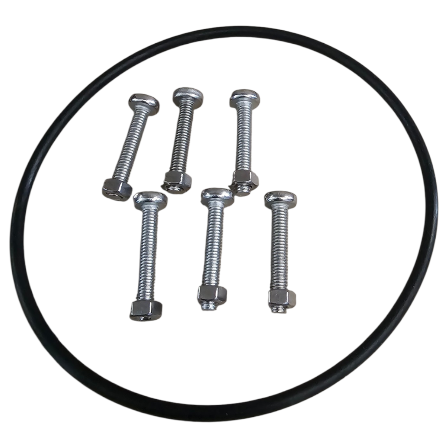 Eine schwarze Gummi-O-Ring-Dichtung, begleitet von fünf Metallschrauben und passenden Sechskantmuttern.